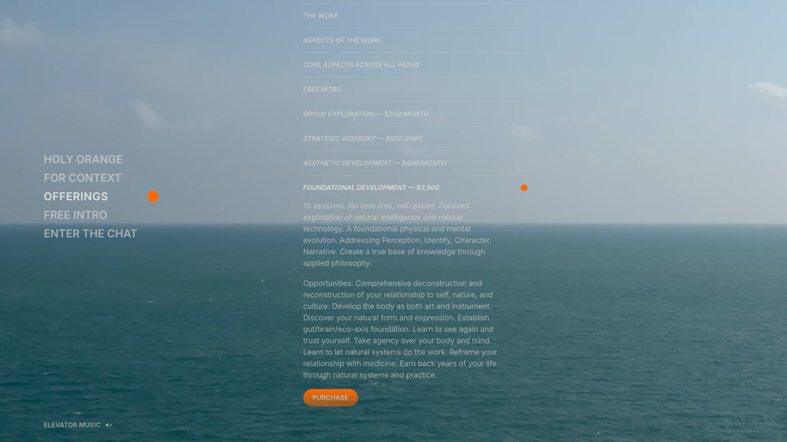 Offerings with Foundational Development open: its terms and opportunities, and an orange PURCHASE button under the text.