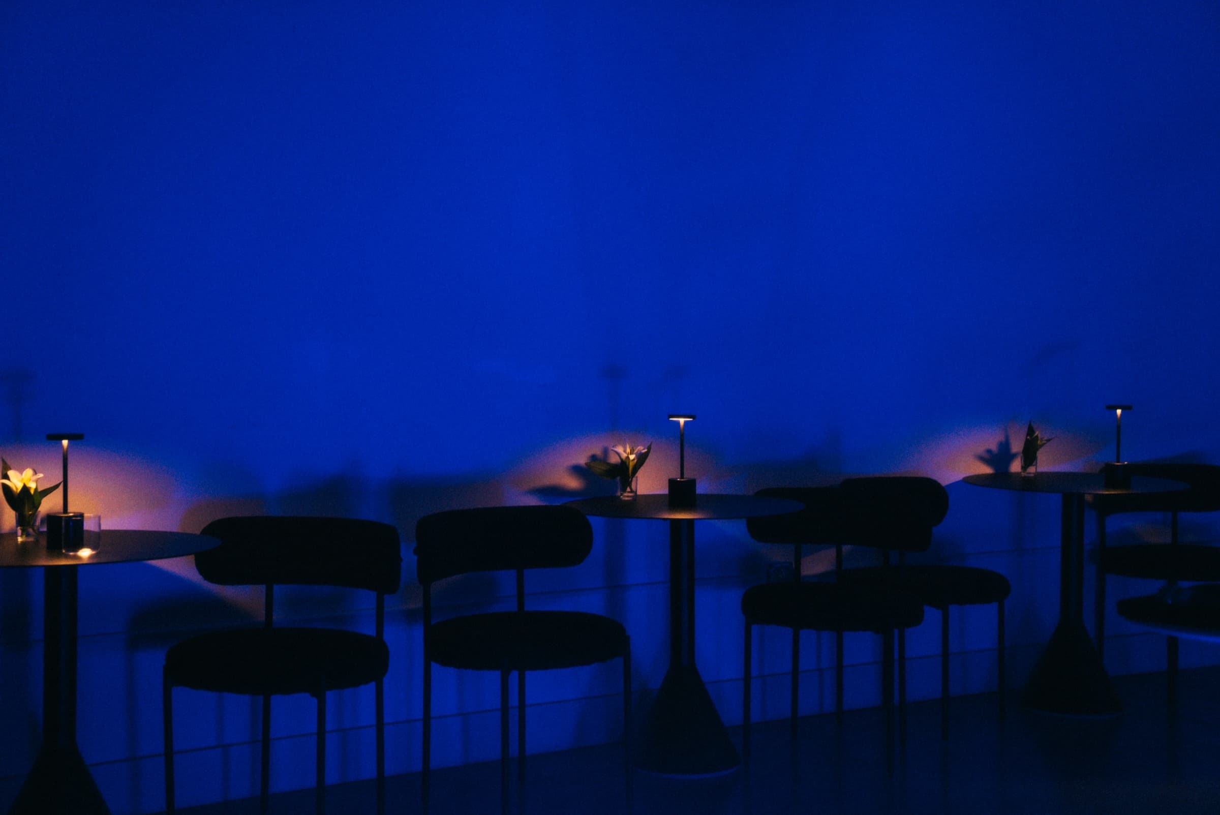 Bar tables and chairs against a cobalt-washed wall, each with a small lamp and a single flower.